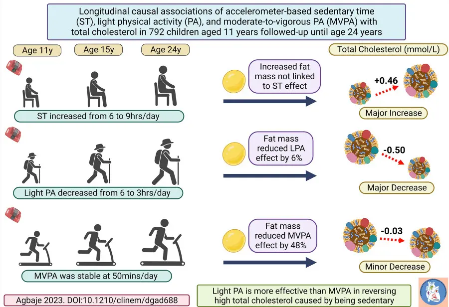 Childhood sedentariness causes elevated cholesterol but light physical activity may neutralize it